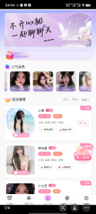 陪聊系统搭建教程+源码以及变现思路-大鱼资源网