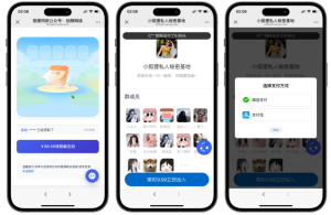 最新独立付费进群系统源码-大鱼资源网