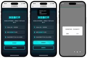 域名防红跳转系统源码-大鱼资源网