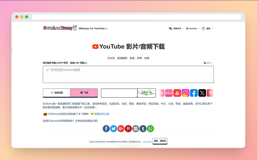 DLBunny - 大鱼资源网-大鱼资源网